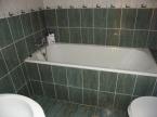 Cinege Panzi� (5)