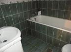 Cinege Panzi� (6)
