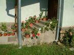 S�rika-Vend�gh�z (3)