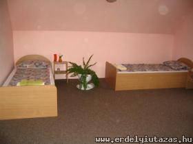 Gy�ngyvir�g - Vend�gh�z (1)