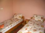 Vadvir�g Vend�gh�z (2)