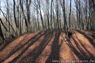 Rugonfalva (1)
