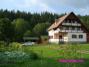 Botond Panzi� (1)