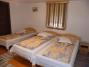 Botond Panzi� (7)