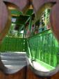 Kecsk�s K�ria �s P�sp�k Panzi� (2)