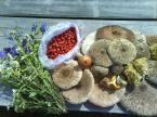 Erd�-mez� term�se