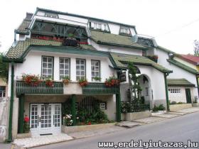 Turistic Pension Ana-Maria (1)