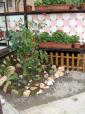 Pension Gy�ngyv�r (20)
