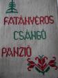 Pensiunea \