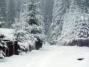 Cabane Bucsin (11) Cabane Bucsin (11)