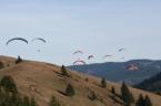 Pension Harmonie (100)