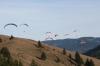 A t�bbiek ...