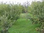 Pension Harmonie (59)