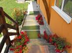 Casa de oaspeti Elekes (5)