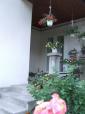 Guesthouse Naomi (4)