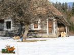 Parcul de animale salbatice Iv� (3)