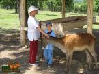 Parcul de animale salbatice Iv� (8)