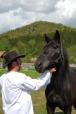 Zetevar Pension and Horse Riding Center (16)