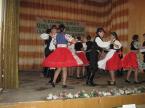 Casa de oaspeti din V�r�ol� (2)