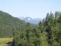The view