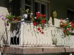 Pension Ilona (17)