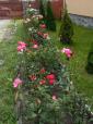 Guesthouse Nagy (16)