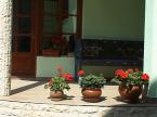 Agroturism at Vistea (7)