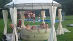 Pansion Fejer (23)