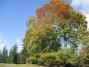 Bagzosoldal Kulcsosh�z (19)