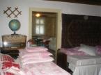 Sarolta Panzi� (4)