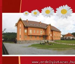 Parajd Panzi� (1)