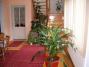 Rita Vend�gh�z (2)