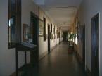 Protestant Theological Institute (4)