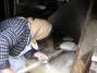 Kinga Vend�gh�z (6)