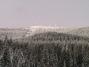 Z�ld Vend�gh�z - Kulcsosh�z (13)