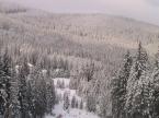 Z�ld Vend�gh�z - Kulcsosh�z (15)
