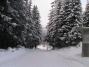 Z�ld Vend�gh�z - Kulcsosh�z (16)