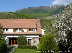 Dr. Demeter B�la - Vend�gh�z (1)