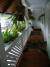 Edy Vend�gh�z (16)