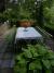Edy Vend�gh�z (19)