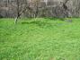 Ildik� Vend�gh�z (7)