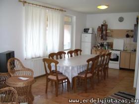 Bal�zs Panzi� (1)