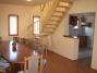 Renesz�nsz Panzi� (5)
