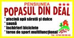 Popasul Din Deal (6) Popasul Din Deal (6)