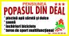 Popasul Din Deal (6)