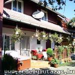 Levente Vend�gh�z (1)