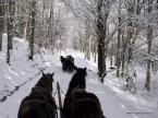 Patakparti Vend�gh�z