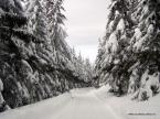 Patakparti Vend�gh�z