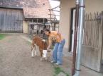 Casa de oaspeti,,ILDIK�