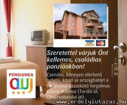 Pensiunea Cluj (1)